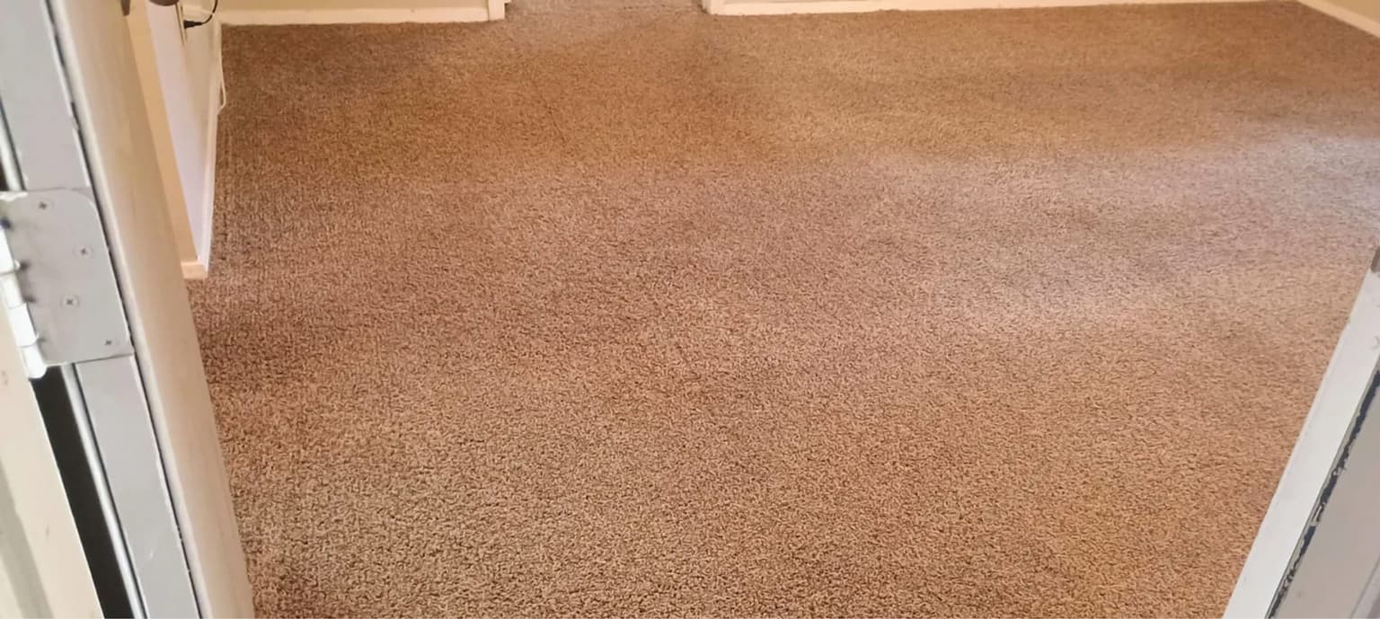 Carpet cleaning in Little Mountain, SC