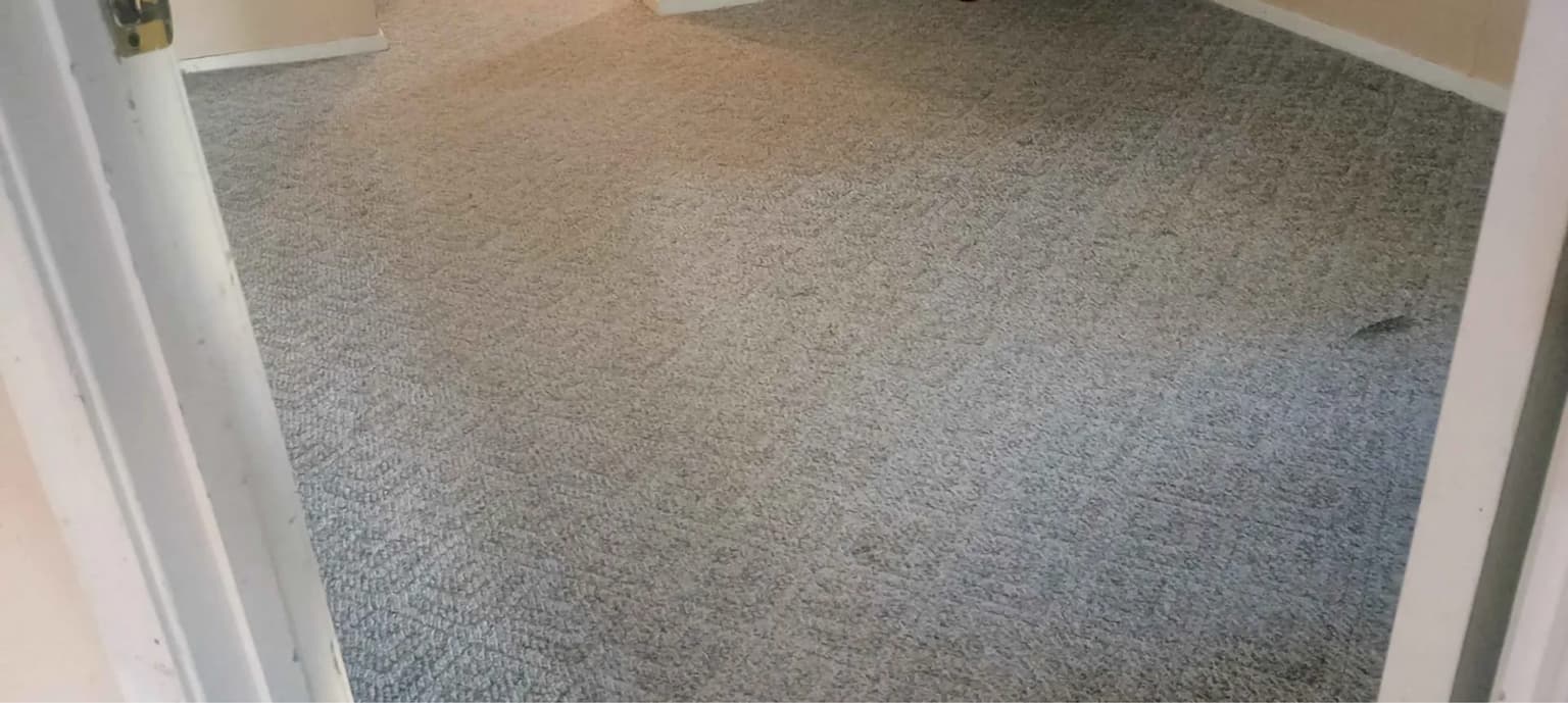 Carpet cleaning in Prosperity, SC