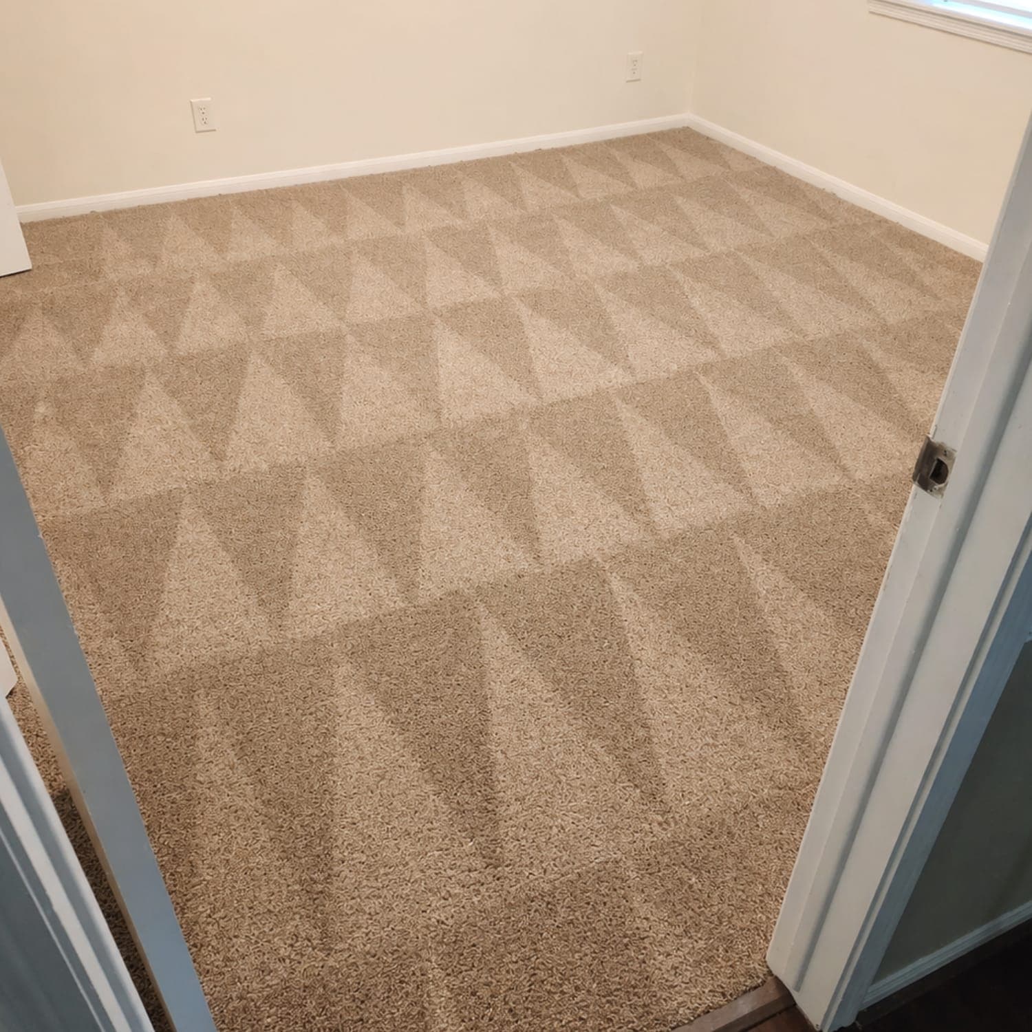 Carpet cleaning in Chapin, SC 29036: what one tidy house taught us