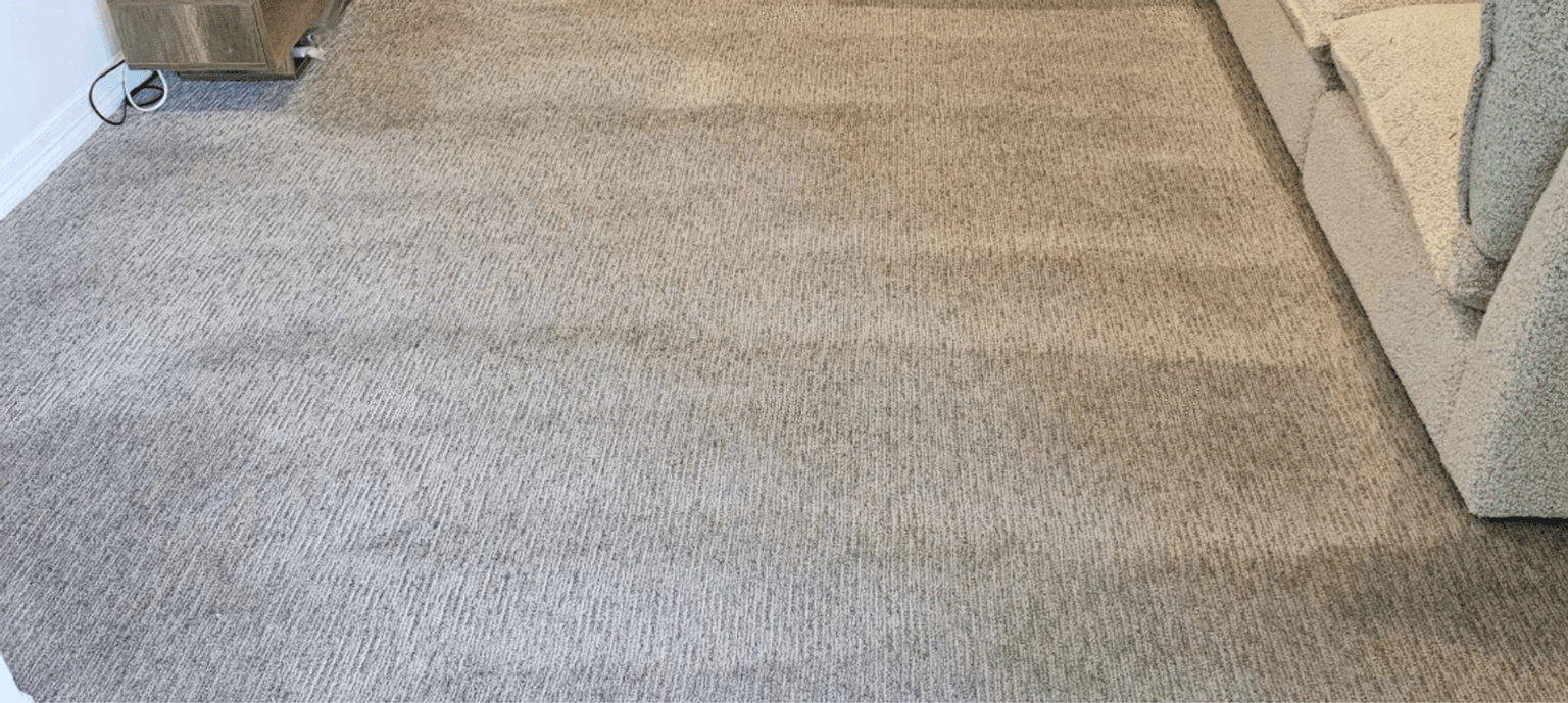 Carpet Cleaning