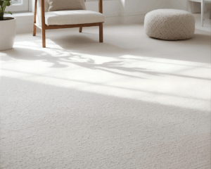 Best Residential Carpet Cleaning