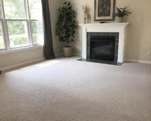 Best Residential Carpet Cleaning