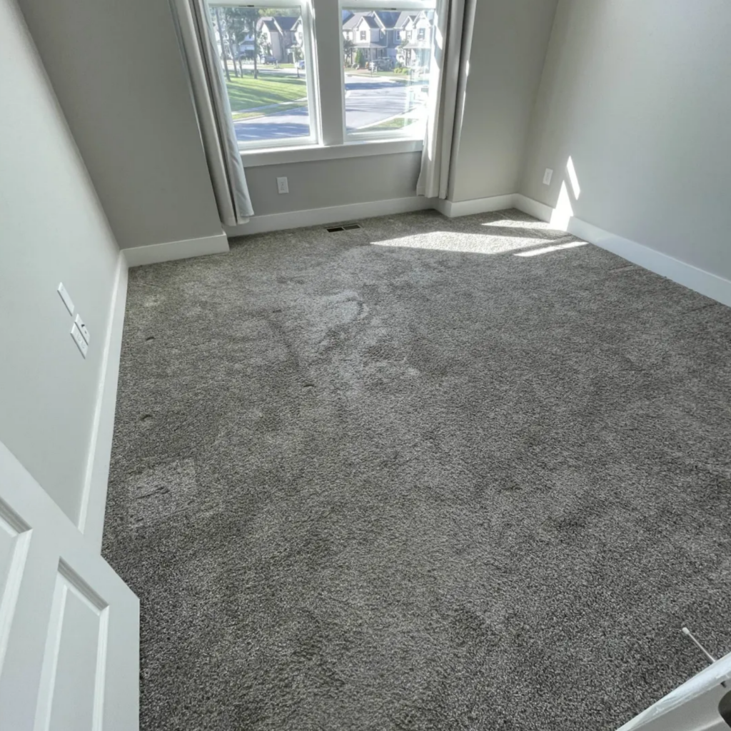 Fresh carpet in a Chapin, South Carolina home after carpet cleaning and pet stain and odor removal