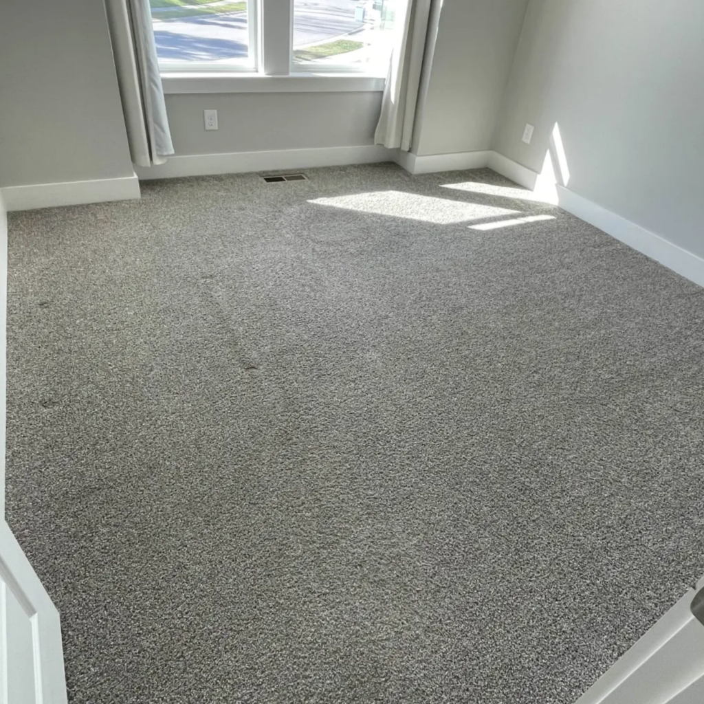 Fresh carpet in a Chapin, South Carolina home after carpet cleaning and pet stain and odor removal