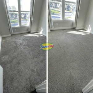 Fresh carpet in a Chapin, South Carolina home after carpet cleaning and pet stain and odor removal