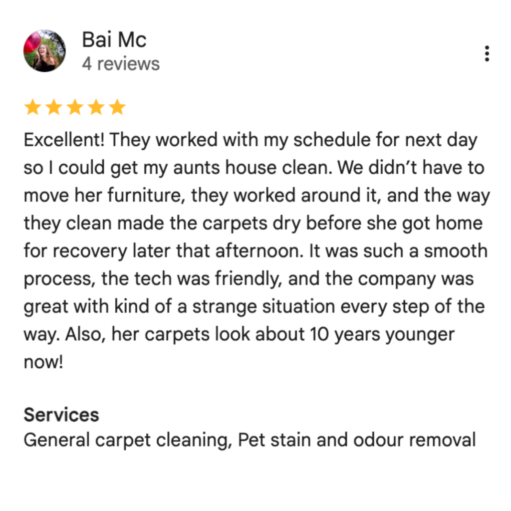 Fresh carpet in a Chapin, South Carolina home after carpet cleaning and pet stain and odor removal