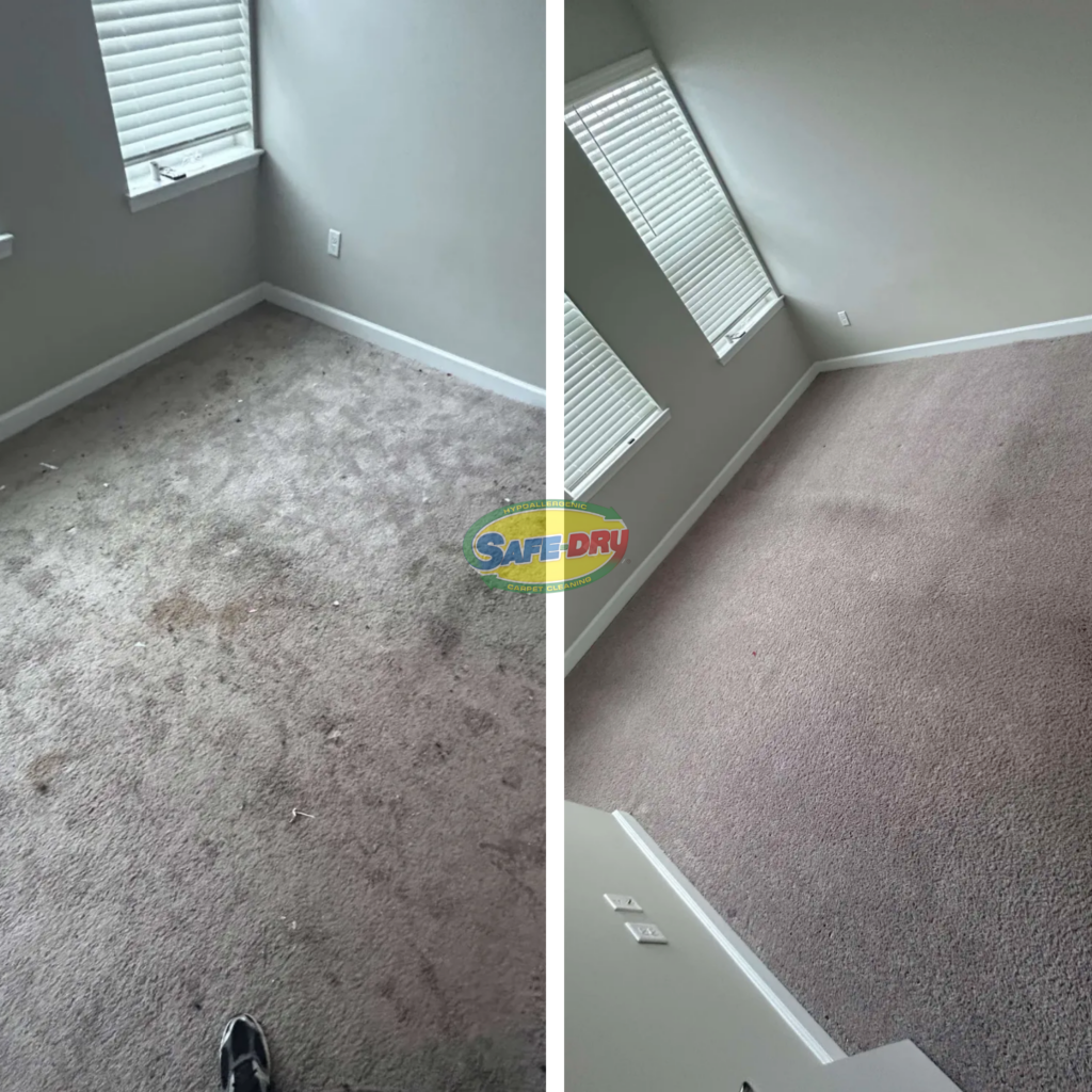 Before and After Carpet Cleaning